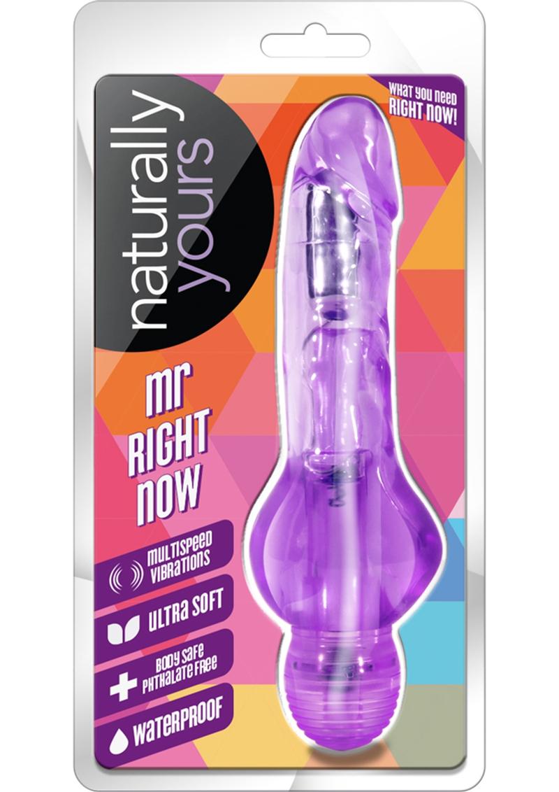 Naturally Yours Mr. Right Now Vibrating Dildo
