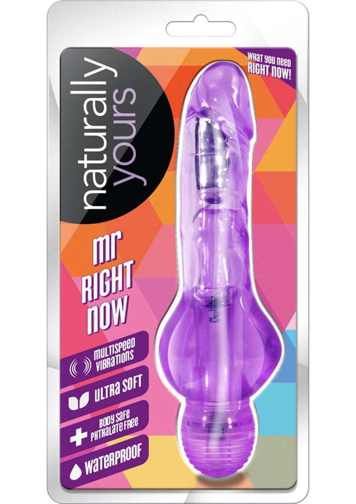 Naturally Yours Mr. Right Now Vibrating Dildo